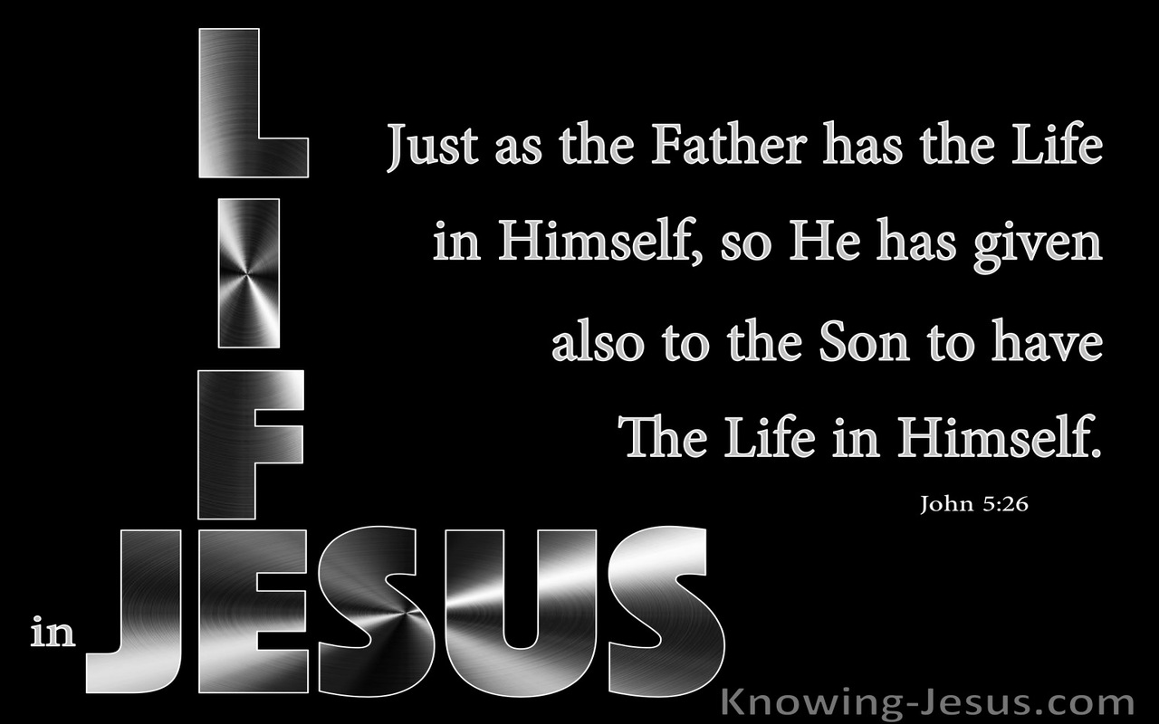 John 5:26 The Son Has Life In Himself (black)